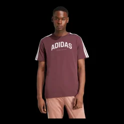 Fashion Adidas C College Tee - Herre T-shirt Rød