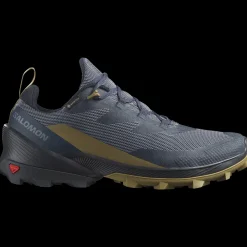 Online Salomon Cross Over 2 GoreTex - Herre Outdoor Sko Blå