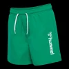 Clearance Hummel Jr Bondi Board Shorts - Børne Badeshorts Grøn