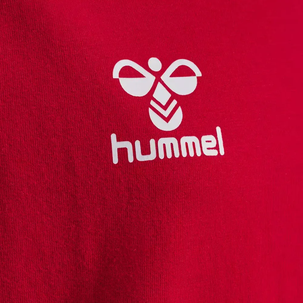 Hot Hummel Jr DBU Fan Block LS Tee - Børne Langærmet T-shirt Rød