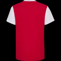 New Hummel Jr DBU Fan Block Tee - Børne Fodbold T-hirt Rød
