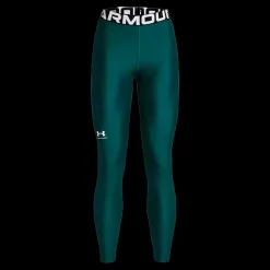 Fashion Under Armour W HG Leggings - Dame Træningstights Grøn